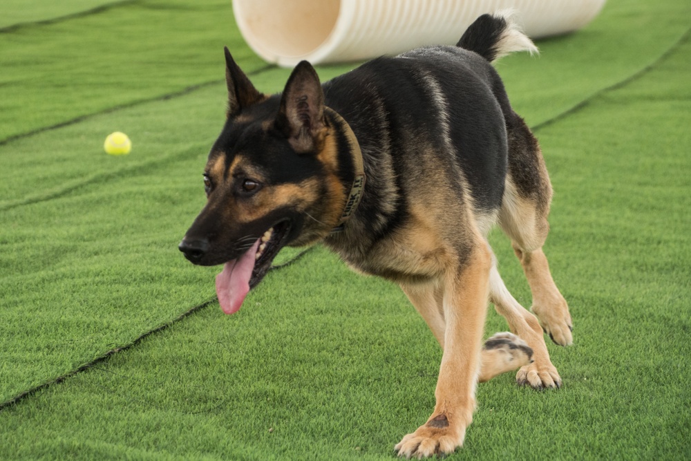 Al Udeid defenders commemorate Police Week