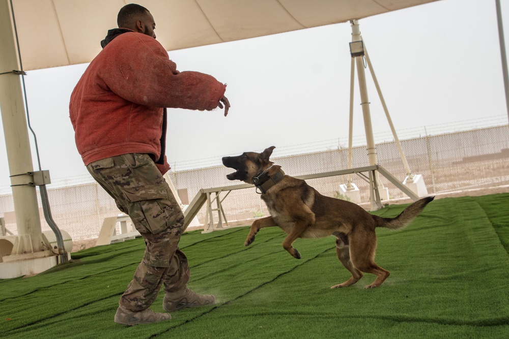 Al Udeid defenders commemorate Police Week