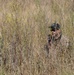 Travis Air Force Base Readiness Exercise