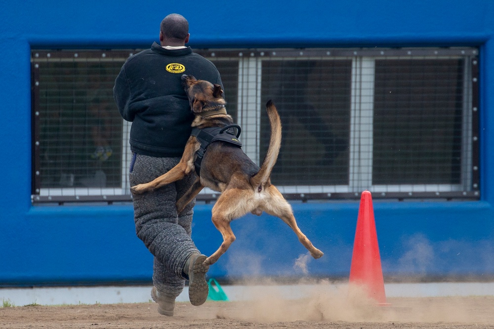 Police Week: 2018 USFJ Top Dog Competition