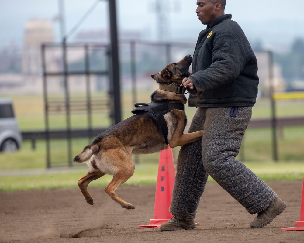 Police Week: 2018 USFJ Top Dog Competition