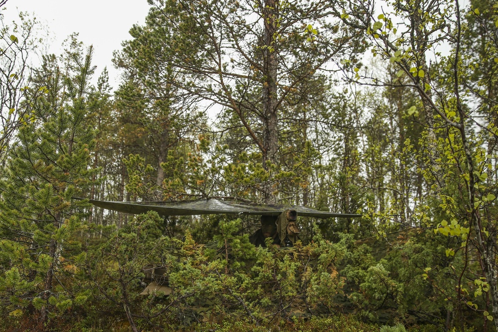 Inserts &amp; Infils