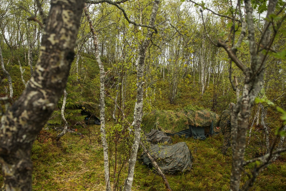 Inserts &amp; Infils