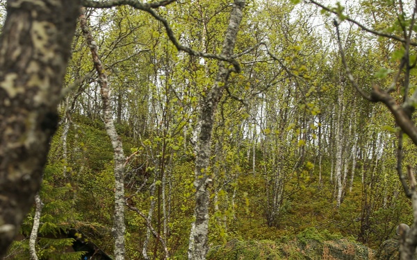 Inserts &amp; Infils