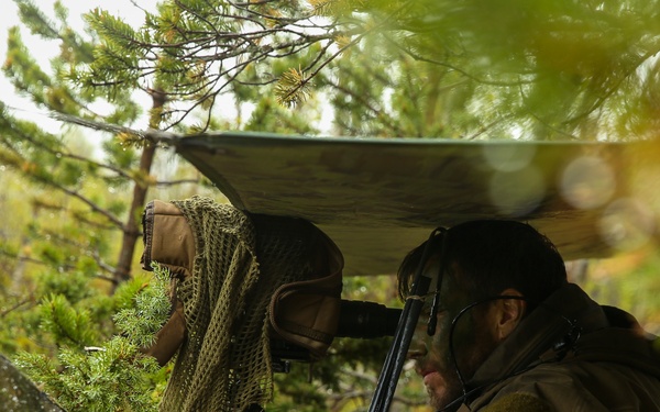 Inserts &amp; Infils