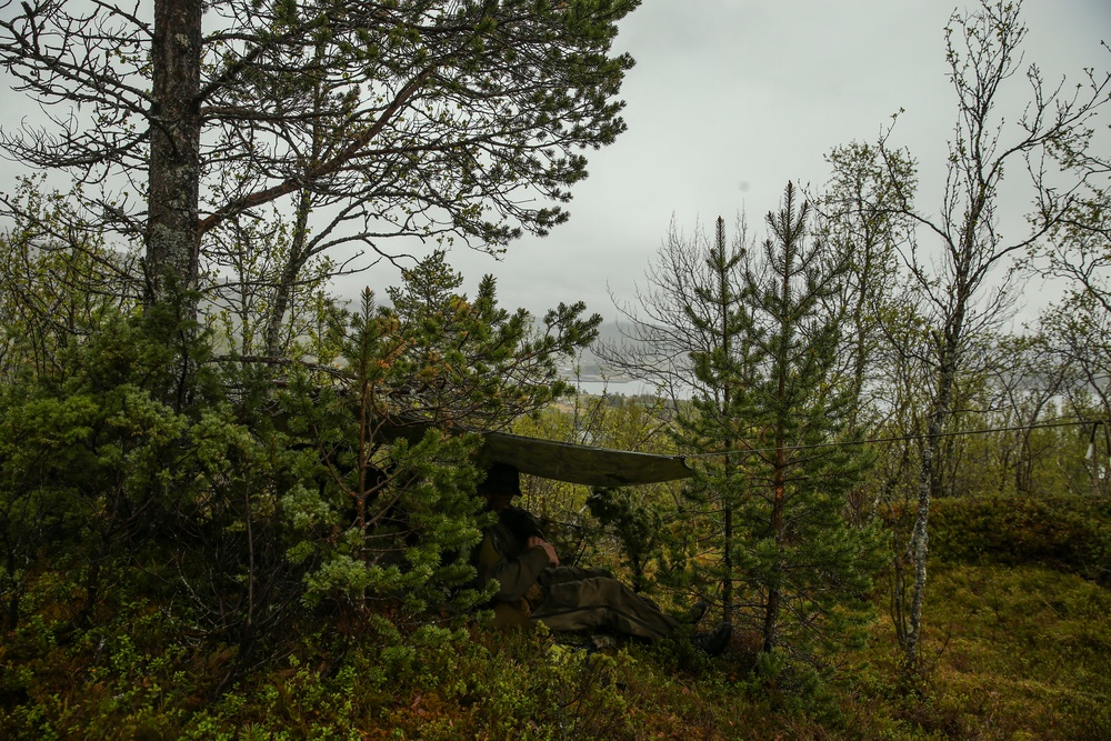 Inserts &amp; Infils