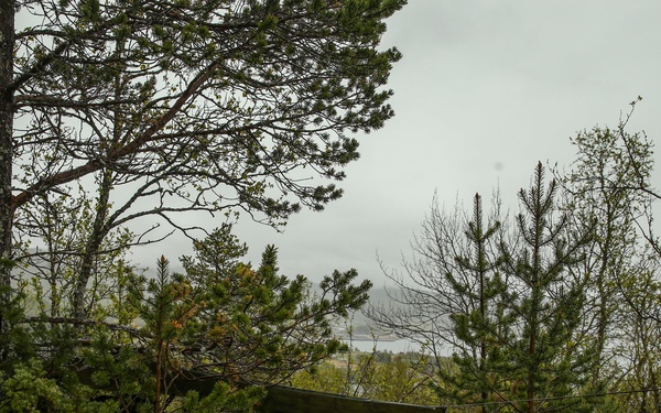 Inserts &amp; Infils