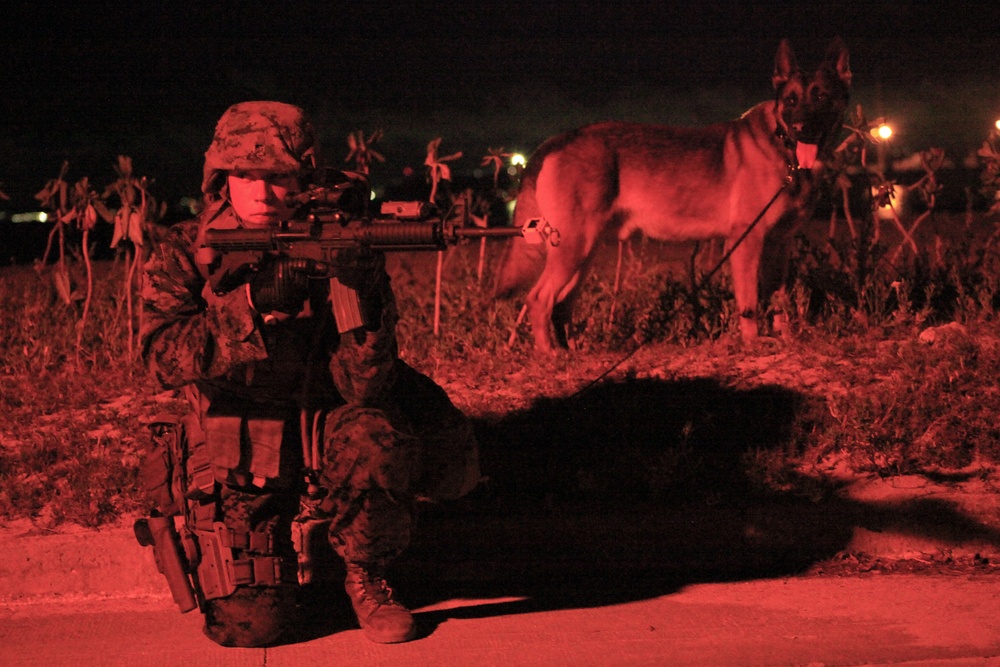 Marine law enforcement battalion conducts night training in Okinawa