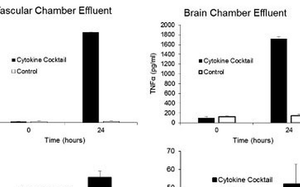Brain Teaser: How Do We Defend Against Chem/Bio Threats?