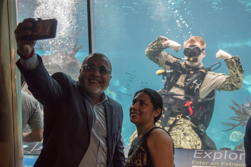 Navy Divers at New York Aquarium