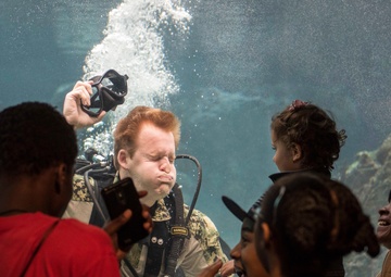 Navy Divers Dive at New York Aquarium