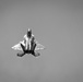 Tampa Bay AirFest 2018