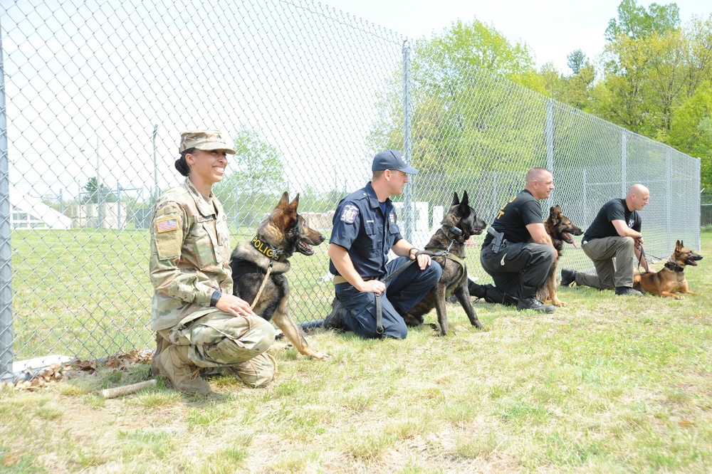 Fort Drum MPs host law enforcement working dog team competition