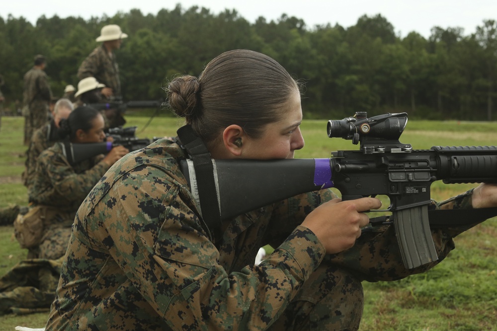 Hotel &amp; Papa Company Table 1