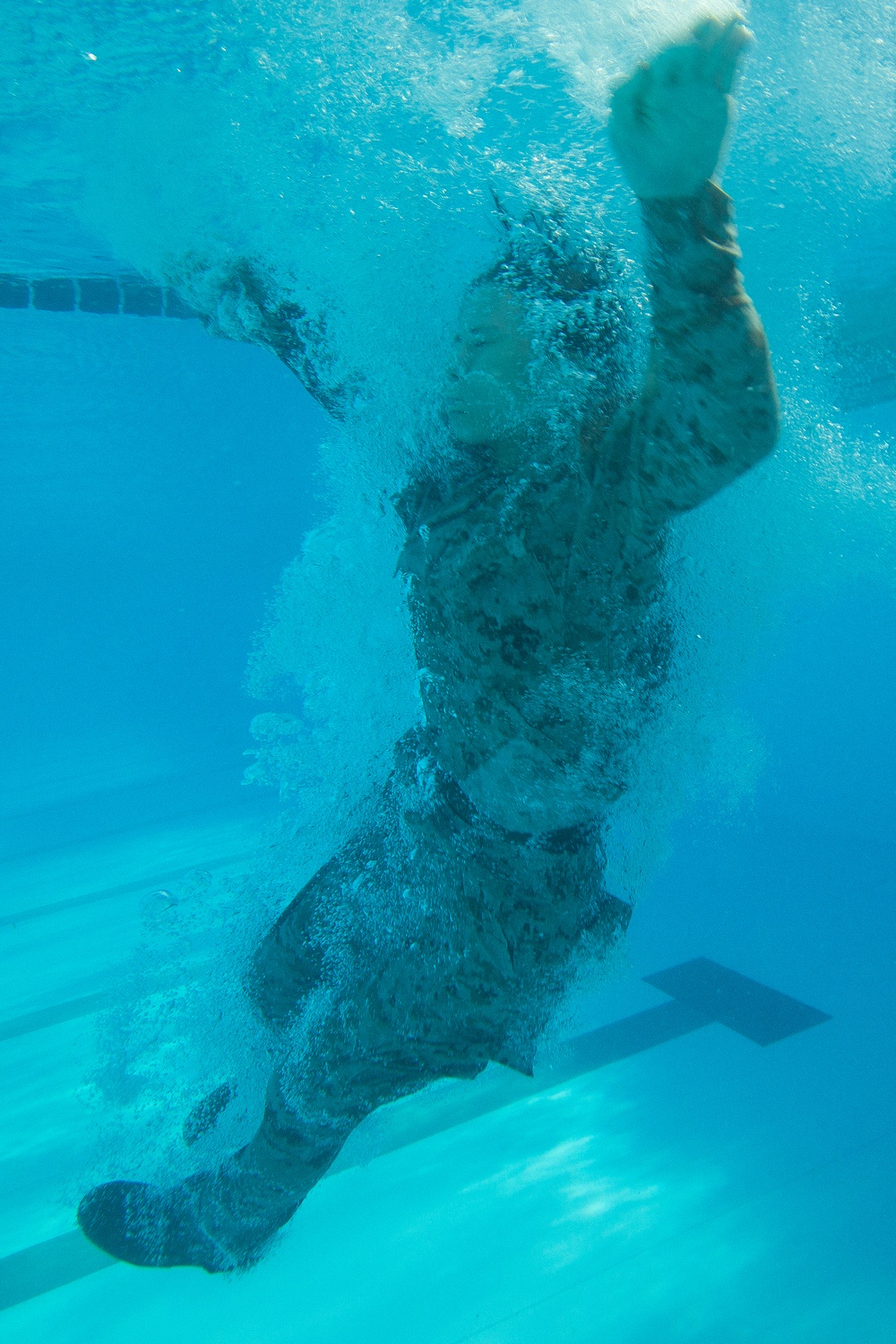 Alpha &amp; Oscar Company Swim Qualification