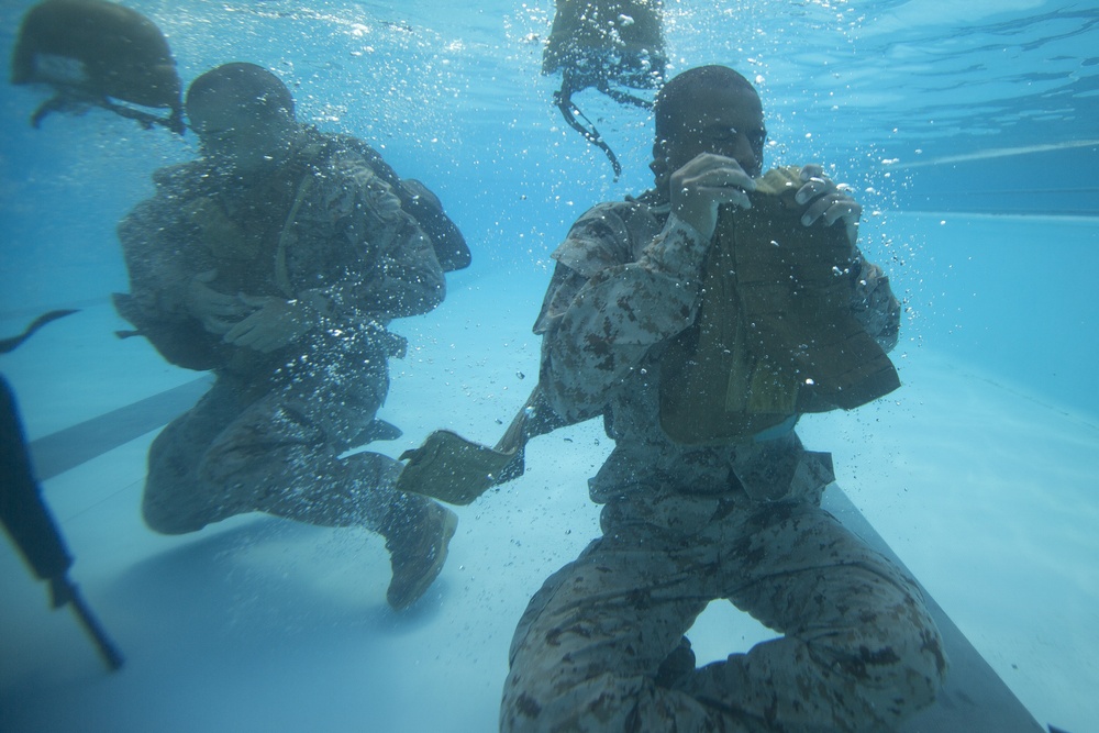 Alpha &amp; Oscar Company Swim Qualification