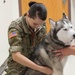 Overseas locations specific requirements for pet owners