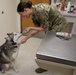 Overseas location specific requirements for pet owners