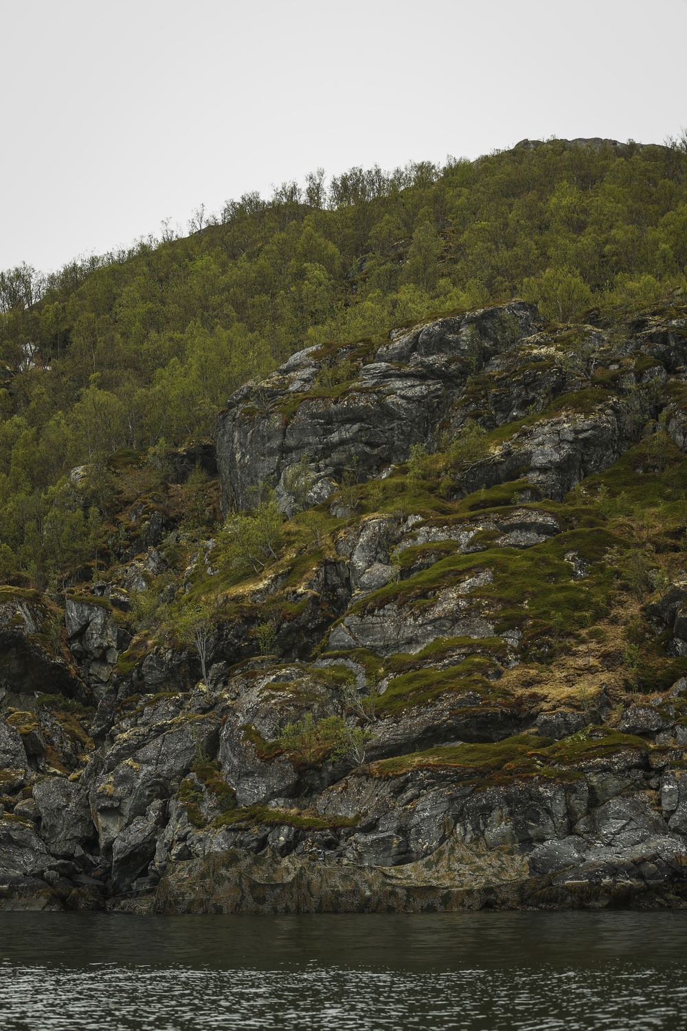 Hiding in Plain Sight