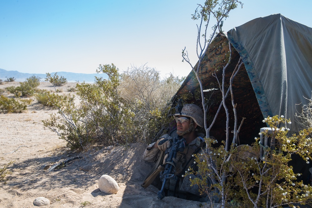 CLB-8 Digs into the Defensive