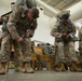 82nd Airborne Division All-American Week XXIX