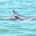 Galveston offers day trip of fun, sun, beach for Polk Family