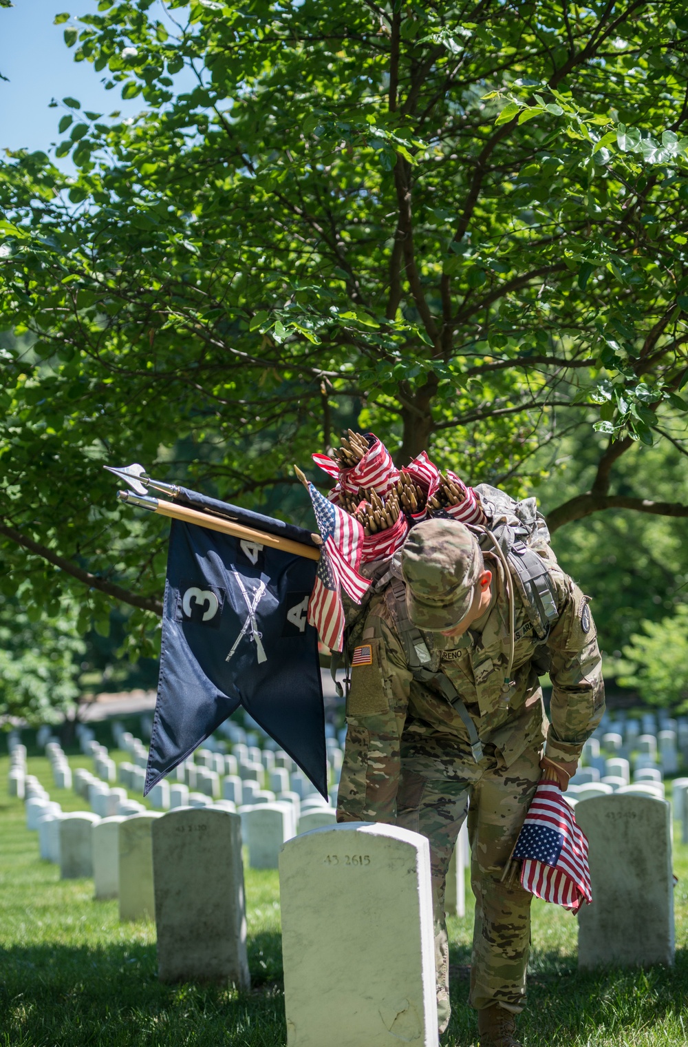 Old Guard Soldiers Participate in Flags In 2018