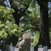 Old Guard Soldiers Participate in Flags In 2018