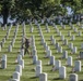 Old Guard Soldiers Participate in Flags In 2018