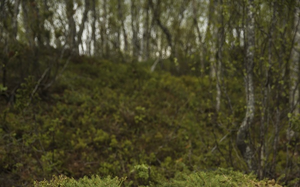 Conducting surveillance