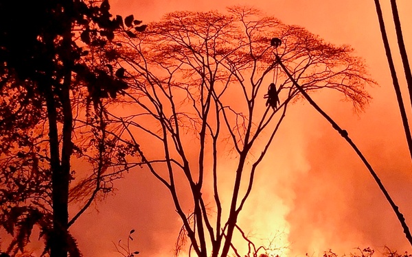 Puna lava lights up skies of Pahoa