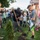 NSF Deveselu Plants Trees at Romanian School