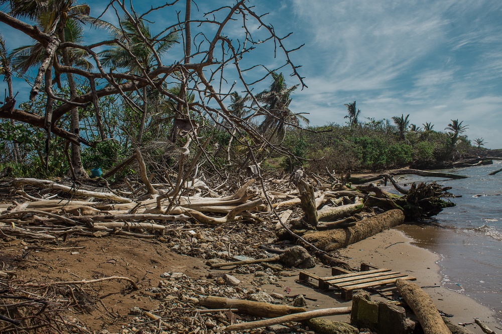 Archaeologists and Environmental Specialists Examine North Coast of Puerto Rico