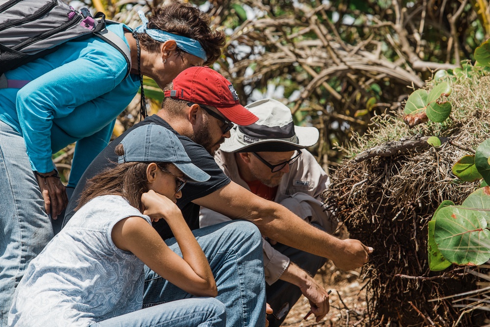 Archaeologists and Environmental Specialists Examine North Coast of Puerto Rico