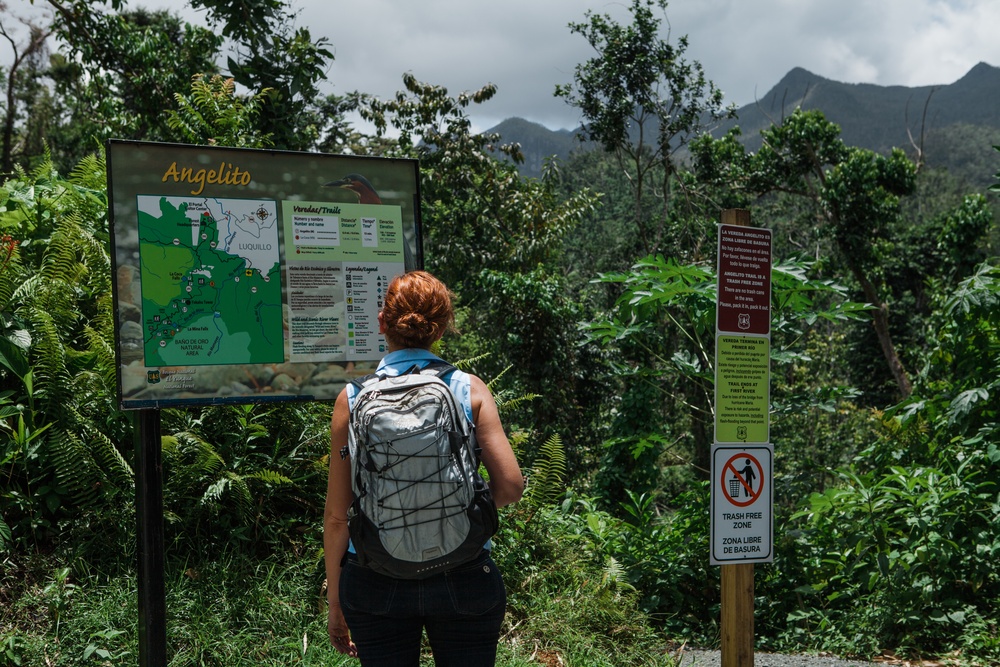 El Yunque Rainforest Recovery After Hurricane María