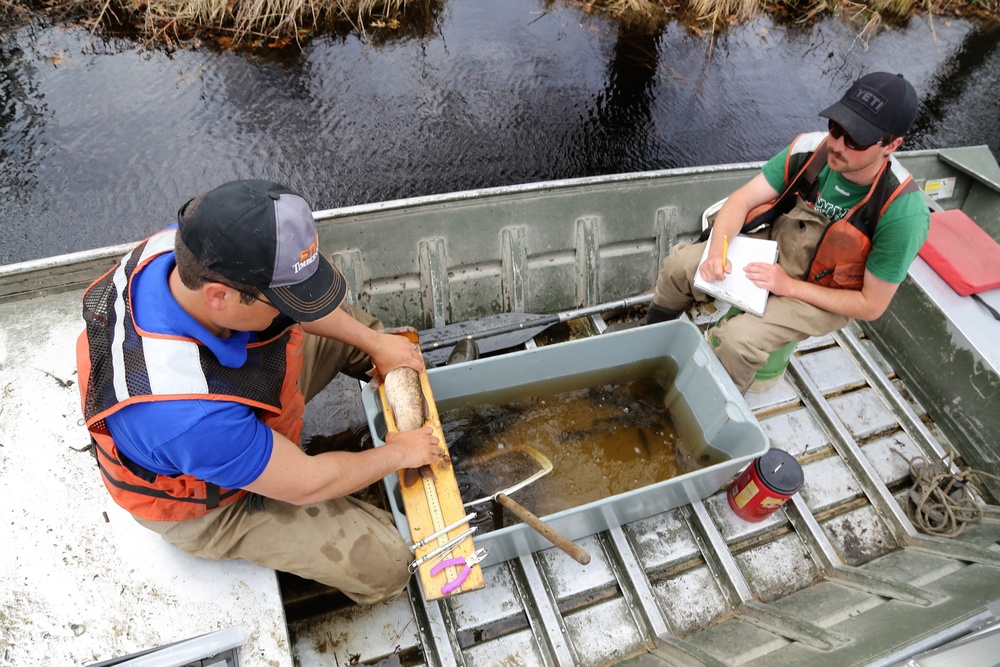 Fish population surveys help improve Fort McCoy’s fisheries management