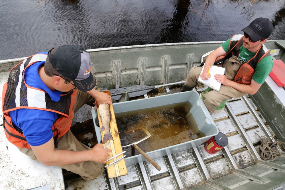 Fish population surveys help improve Fort McCoy’s fisheries management