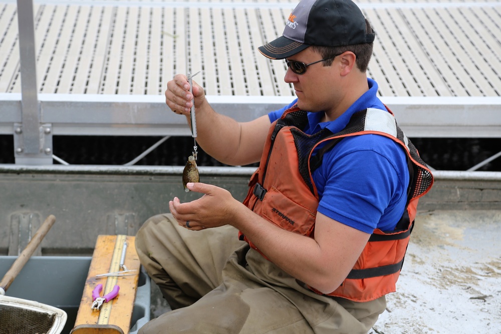Fish population surveys help improve Fort McCoy’s fisheries management