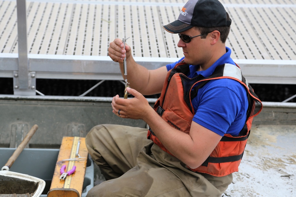 Fish population surveys help improve Fort McCoy’s fisheries management