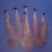 Thunderbirds practice for 2018 Cannon Air Show, Space and Tech Fest