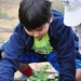 California community rallies around Corps of Engineers’ ecosystem restoration project