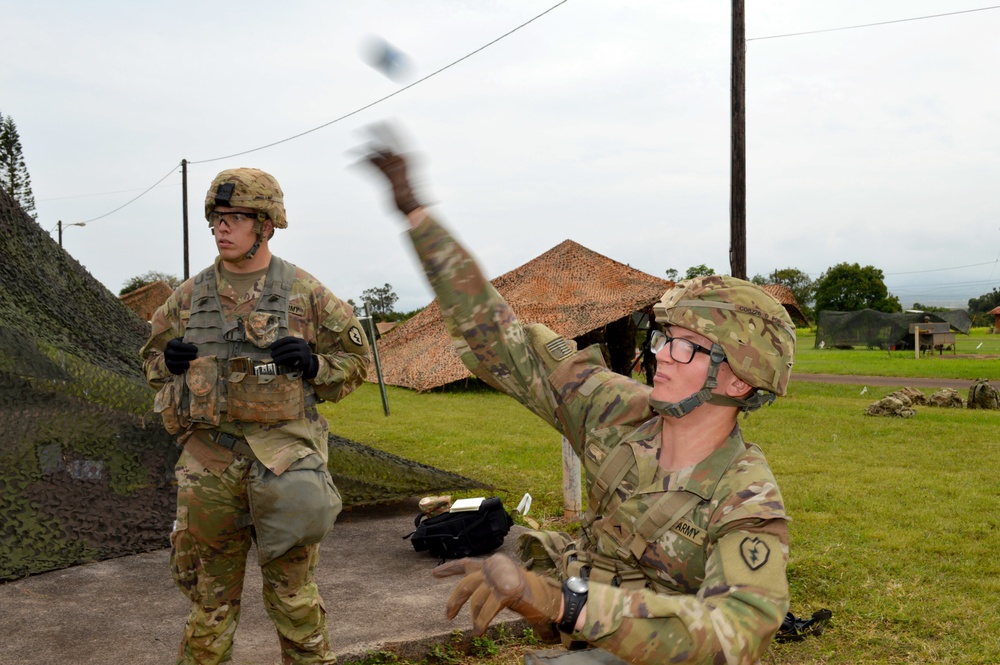 ‘Tropic Lightning’ Soldiers train up for EIB