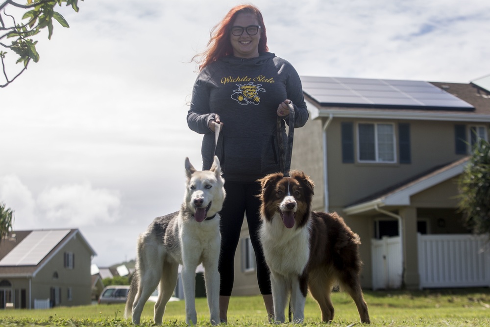 Pa Honua Dog Park opens aboard MCBH