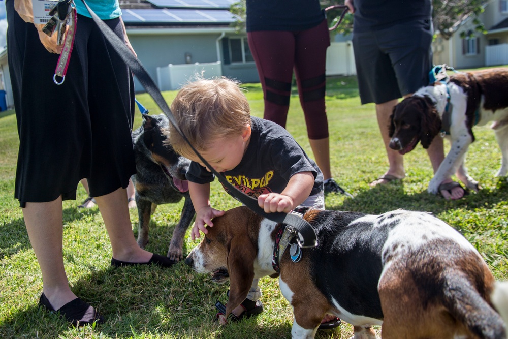 Pa Honua Dog Park opens aboard MCBH