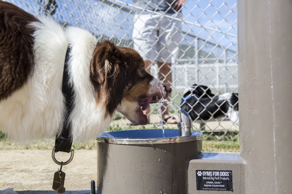 Pa Honua Dog Park opens aboard MCBH