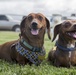 Pa Honua Dog Park opens aboard MCBH