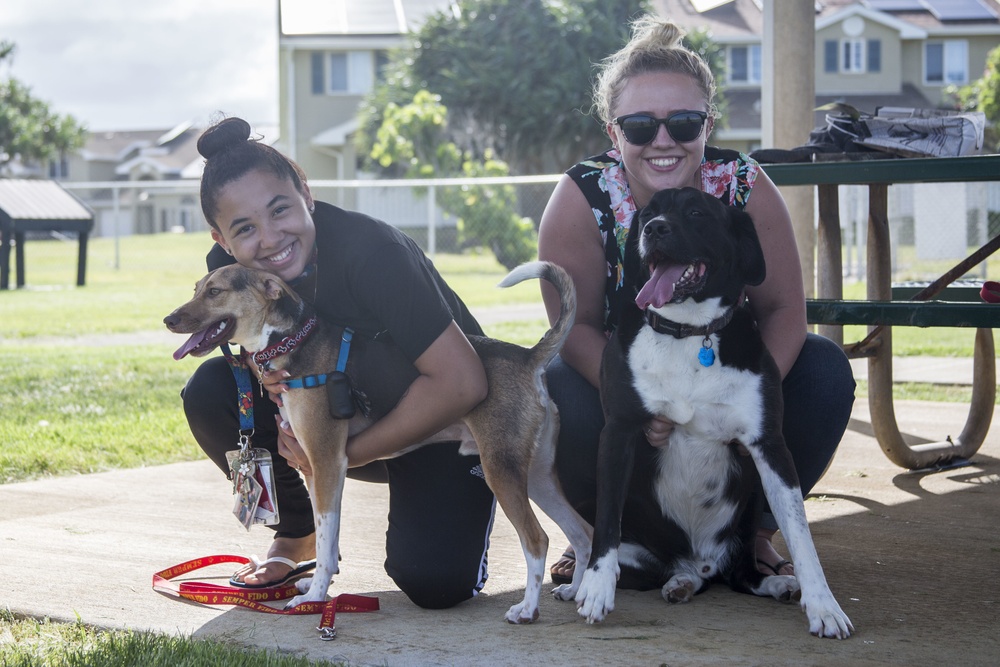 Pa Honua Dog Park opens aboard MCBH