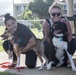 Pa Honua Dog Park opens aboard MCBH