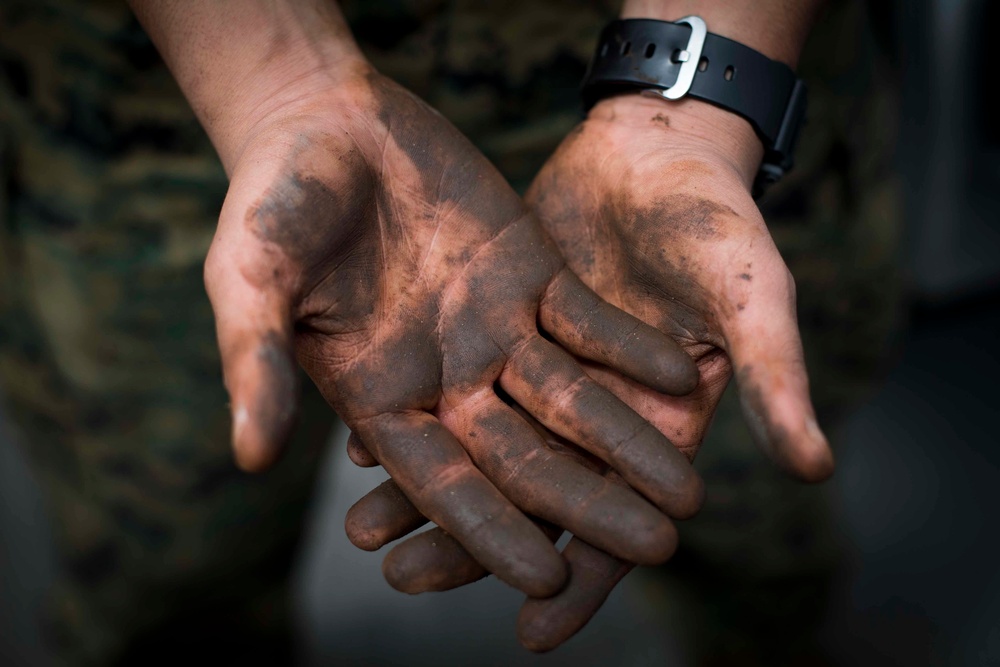 AAVs depart Camp Pendleton and Combat Cargo prepares for the onload