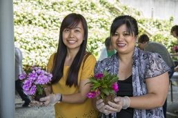 Cultivating unique Japanese experiences